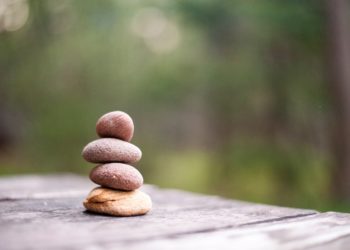 4 Wellness Activities You Can Do From Home