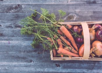 Food Sustainability: How to Eat a More Sustainable Diet