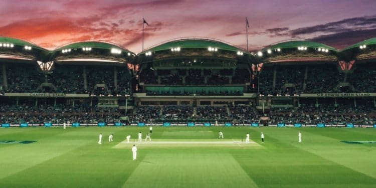 Cricket Prediction: The Best Site to Help You Make Cricket Bets