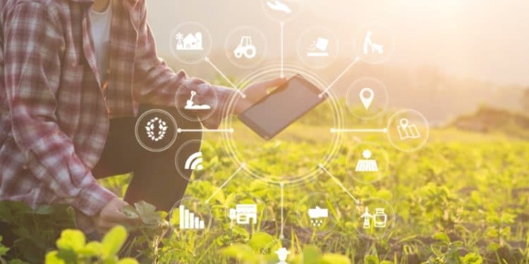 The Top 5  Benefits Of Satellite Imagery For Agribusiness