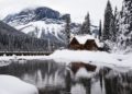 3 Key Areas of Log Cabin Insulation
