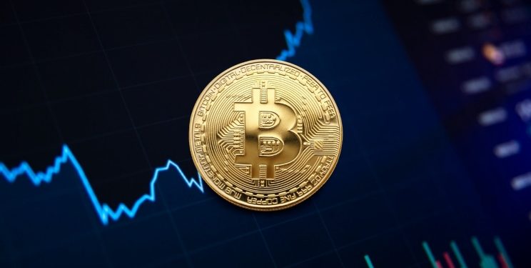 How to Effectively Invest in Cryptocurrencies [A Step-by-Step Guide]