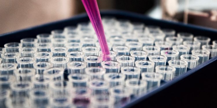 Tips for Using LIMS To Improve Business Efficiency and Profitability