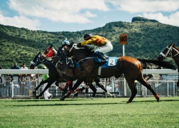 Online horse racing bookies: which betting sites are most reliable?