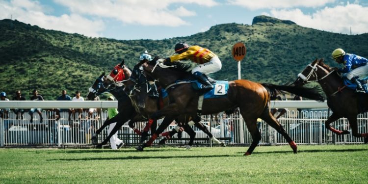 Online horse racing bookies: which betting sites are most reliable?