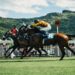 Online horse racing bookies: which betting sites are most reliable?