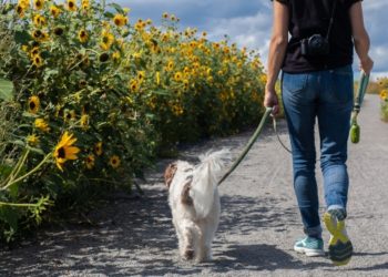 9 Easy Side Hustles You Can Slot in With Your Day Job