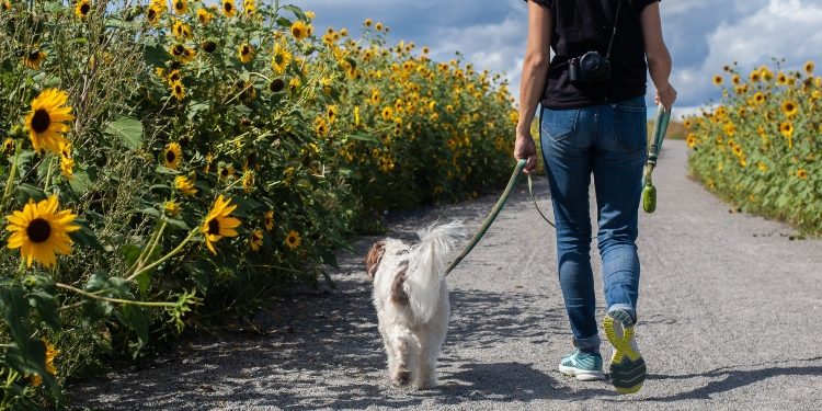 9 Easy Side Hustles You Can Slot in With Your Day Job