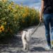 9 Easy Side Hustles You Can Slot in With Your Day Job