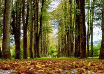 How Is Cryptocurrency Affecting Our Environment?