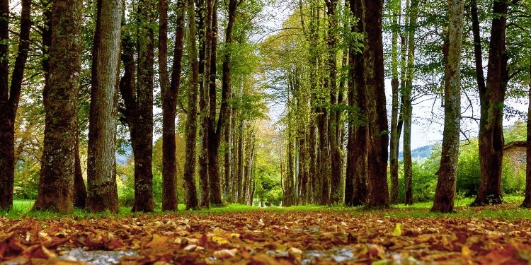 How Is Cryptocurrency Affecting Our Environment?