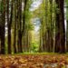 How Is Cryptocurrency Affecting Our Environment?