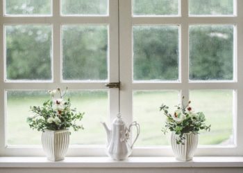 Top tips on how to bring sustainability into the home