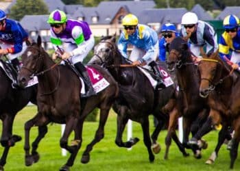 Features of Sports Betting in Ireland