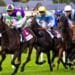 Features of Sports Betting in Ireland