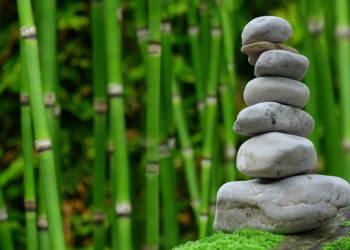 4 Eco-Friendly Products Ideas To Help In Growing Sales