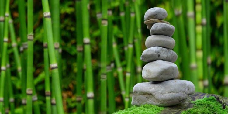 4 Eco-Friendly Products Ideas To Help In Growing Sales