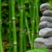 4 Eco-Friendly Products Ideas To Help In Growing Sales