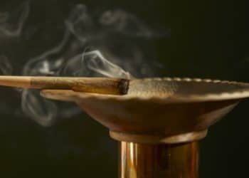 What CBD Pre Rolls Are Available Online?