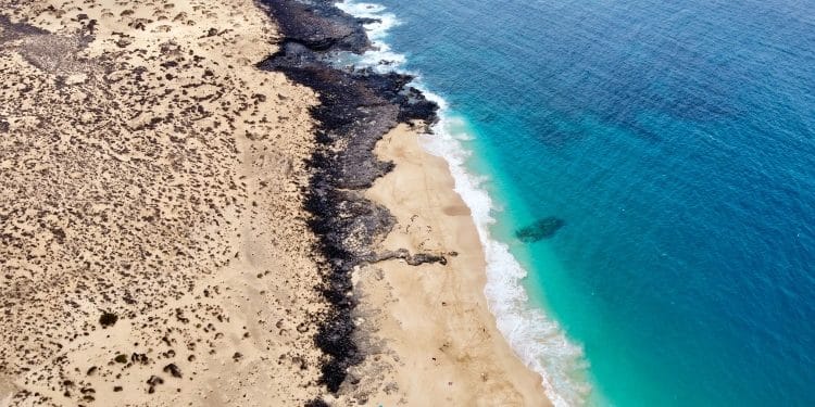 The dangers of oil spills and how you can clean them up