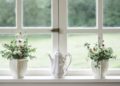Types of Window Replacement Options