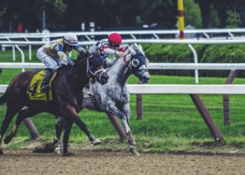 How to Leverage Analytics for an Edge in Horse Betting