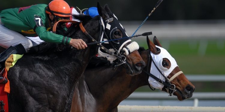Is The Grand National Still One of The Biggest Days on the Sporting Calendar?