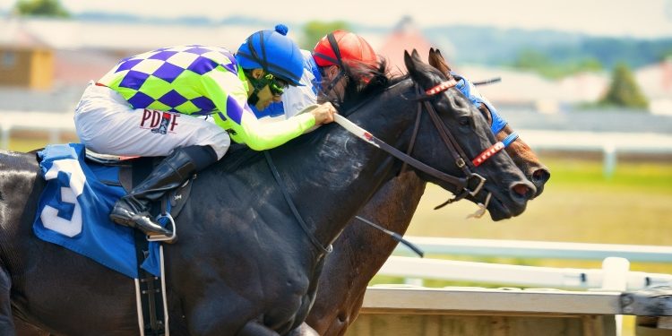 Willie Mullins’ Squad For Cheltenham 2023