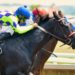 Willie Mullins’ Squad For Cheltenham 2023