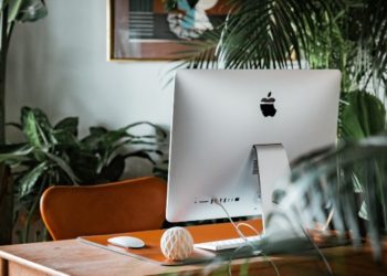 How to Create a Greener Office Space