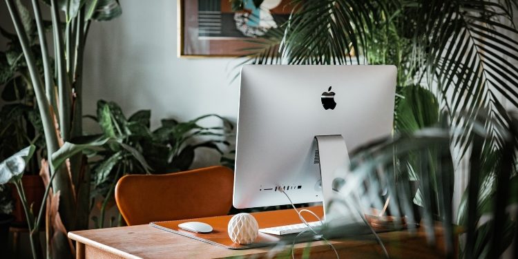 How to Create a Greener Office Space