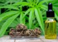 The Power of CBD: Uncovering the Truth Behind This Healing Compound