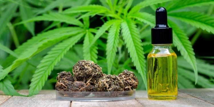 The Power of CBD: Uncovering the Truth Behind This Healing Compound