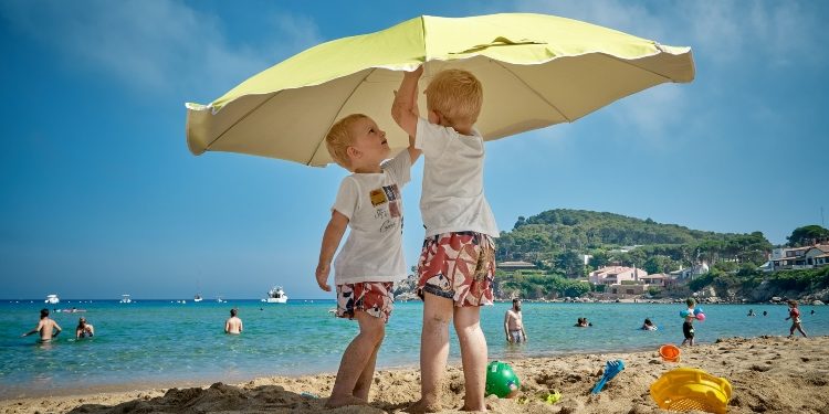 Planning Your Next Holiday? Find the Best Time to Go!