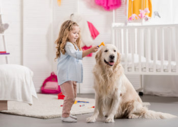 How to Pick the Best Paint for Kids and Pets?