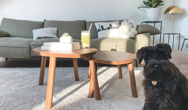 Unveiling the Truth About Carpet Cleaning Prices: What You Need to Know