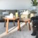 Unveiling the Truth About Carpet Cleaning Prices: What You Need to Know