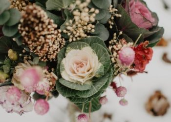 Tips for Utilizing Free Funeral Order of Service Templates