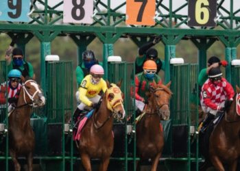 In Which States is Gambling Legal in the US?