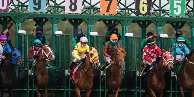 In Which States is Gambling Legal in the US?