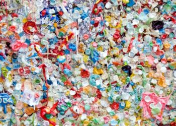An Overview of Bioplastics and Sustainable Packaging