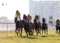 Beyond the Finish Line: Exploring the Intersection of Technology and Horse Race Betting