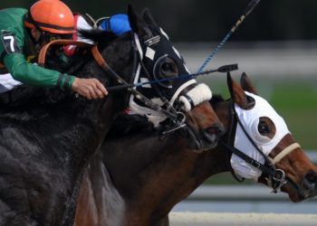 Newmarket July Festival 2023: Schedule & Preview