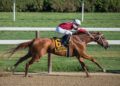 The Future of Horse Racing Betting: Cryptocurrency-Based Platforms and Fan Services