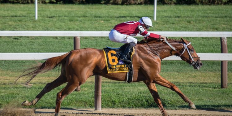 The Future of Horse Racing Betting: Cryptocurrency-Based Platforms and Fan Services