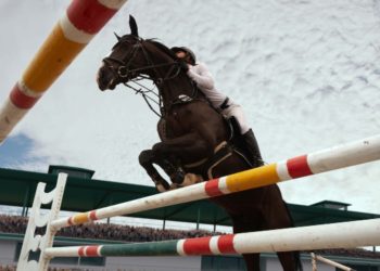 5 Ways Tech Trends Are Shaping Horse Race Betting