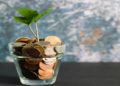 Green plant in a vase with coins