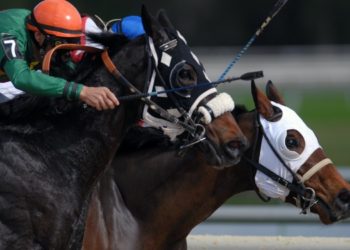 York Ebor Festival 2023: Schedule & Preview