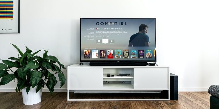 Online cinemas revolutionize movie industry