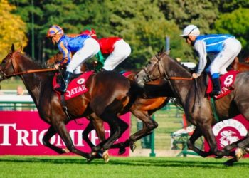 Maximizing Your Betting Experience with the Bet365 Bonus Code